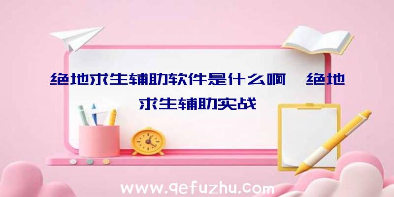 绝地求生辅助软件是什么啊、绝地求生辅助实战