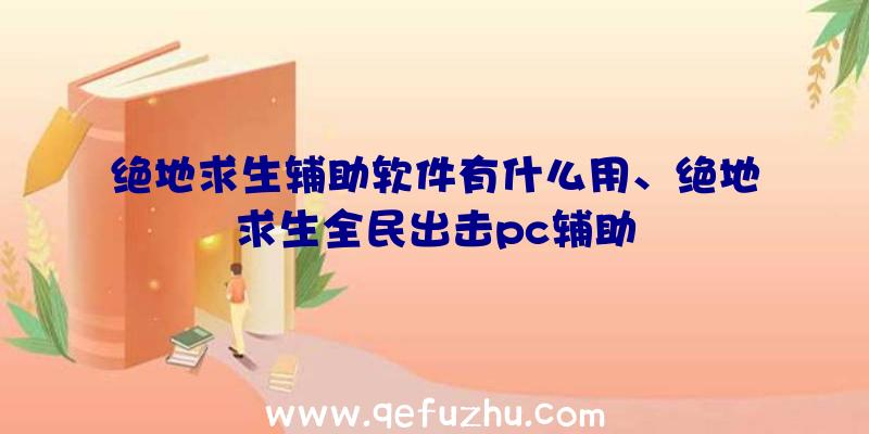 绝地求生辅助软件有什么用、绝地求生全民出击pc辅助