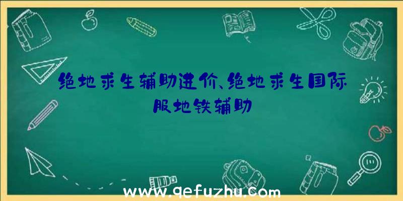 绝地求生辅助进价、绝地求生国际服地铁辅助