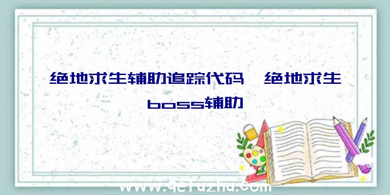 绝地求生辅助追踪代码、绝地求生boss辅助