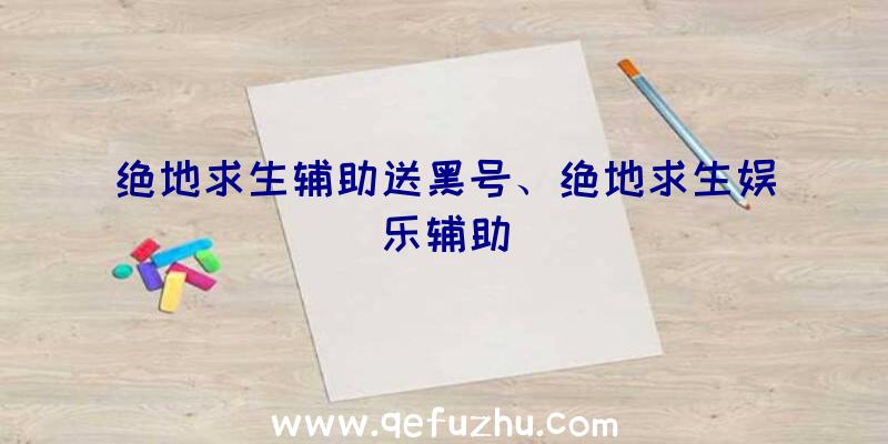 绝地求生辅助送黑号、绝地求生娱乐辅助