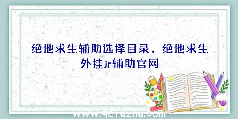 绝地求生辅助选择目录、绝地求生外挂jr辅助官网