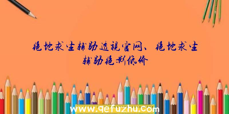 绝地求生辅助透视官网、绝地求生辅助绝影低价