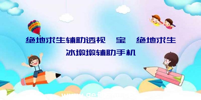 绝地求生辅助透视怡宝、绝地求生冰墩墩辅助手机