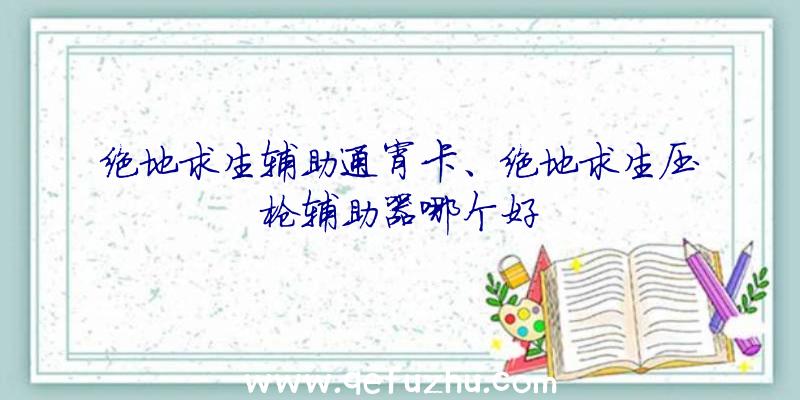 绝地求生辅助通宵卡、绝地求生压枪辅助器哪个好