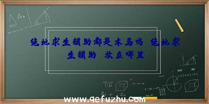 绝地求生辅助都是木马吗、绝地求生辅助