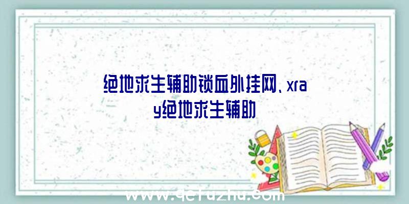 绝地求生辅助锁血外挂网、xray绝地求生辅助