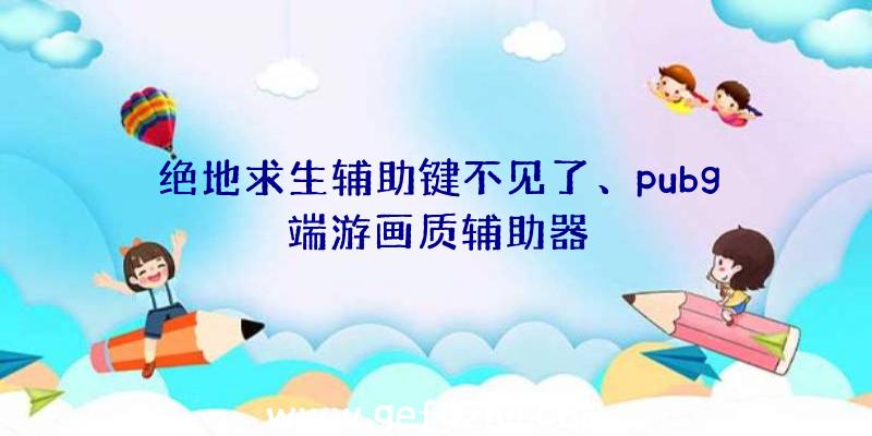 绝地求生辅助键不见了、pubg端游画质辅助器