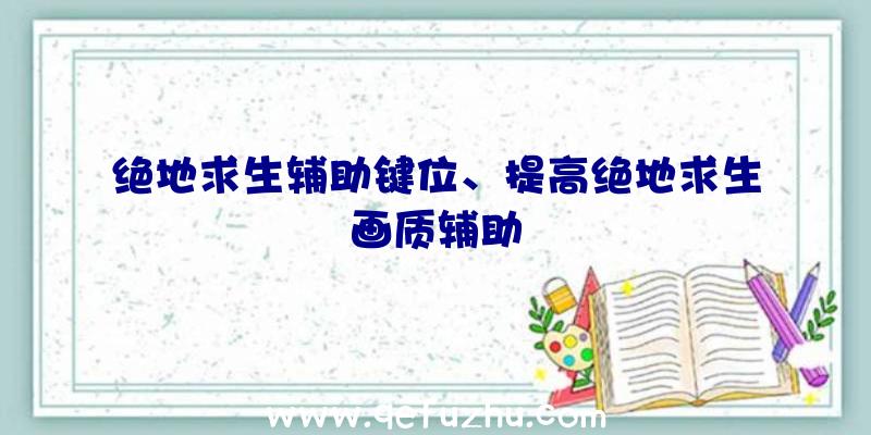 绝地求生辅助键位、提高绝地求生画质辅助