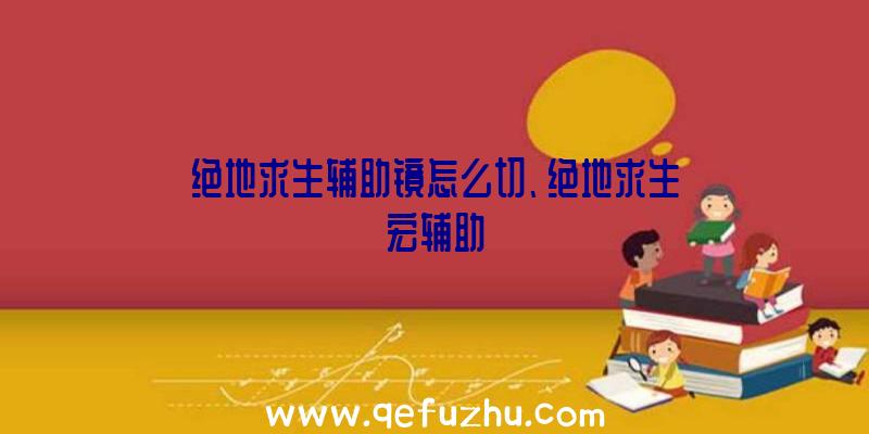 绝地求生辅助镜怎么切、绝地求生宏辅助