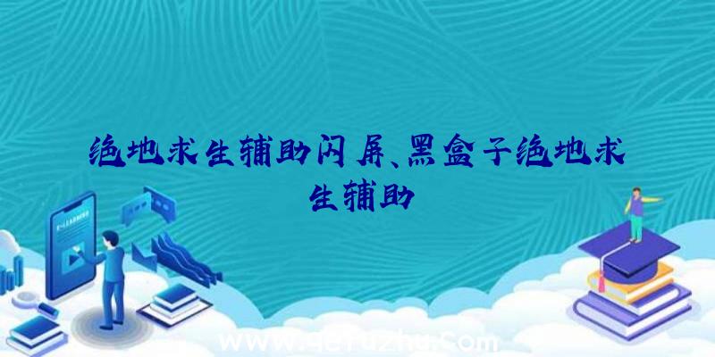 绝地求生辅助闪屏、黑盒子绝地求生辅助