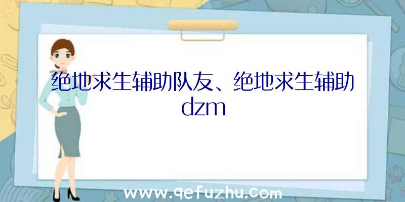 绝地求生辅助队友、绝地求生辅助dzm