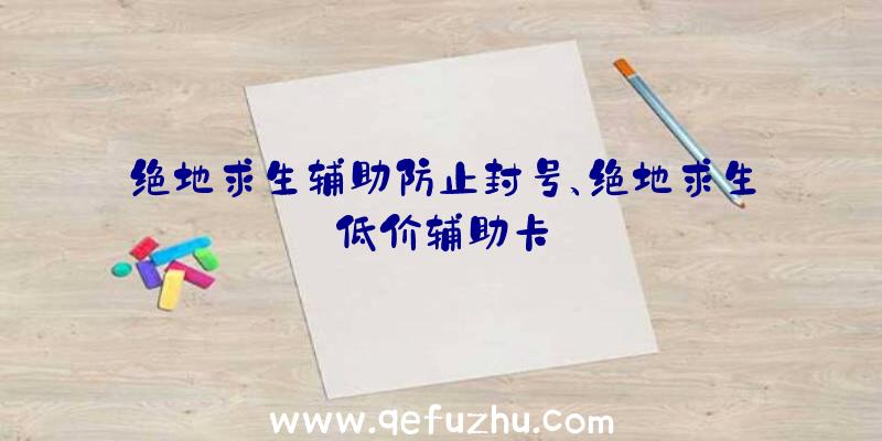 绝地求生辅助防止封号、绝地求生低价辅助卡