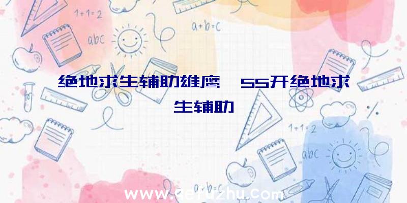 绝地求生辅助雄鹰、55开绝地求生辅助