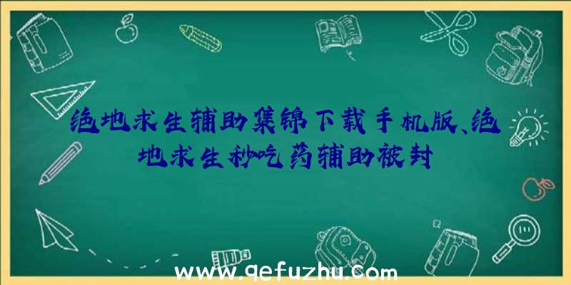 绝地求生辅助集锦下载手机版、绝地求生秒吃药辅助被封