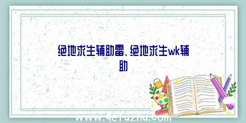 绝地求生辅助雷、绝地求生wk辅助