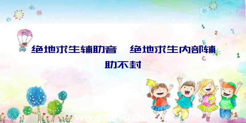 绝地求生辅助音、绝地求生内部辅助不封