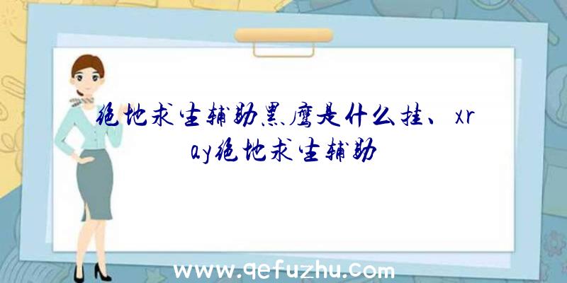 绝地求生辅助黑鹰是什么挂、xray绝地求生辅助