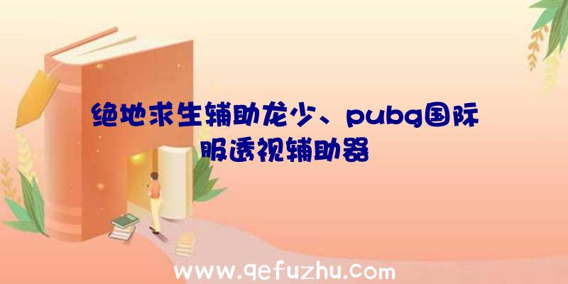 绝地求生辅助龙少、pubg国际服透视辅助器