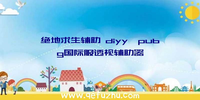 绝地求生辅助+diyy、pubg国际服透视辅助器