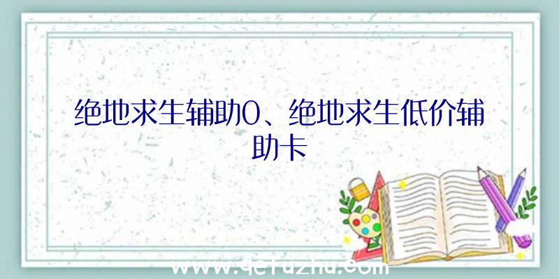 绝地求生辅助0、绝地求生低价辅助卡