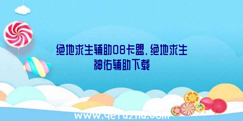 绝地求生辅助08卡盟、绝地求生神佑辅助下载