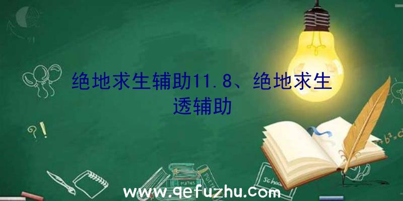 绝地求生辅助11.8、绝地求生透辅助