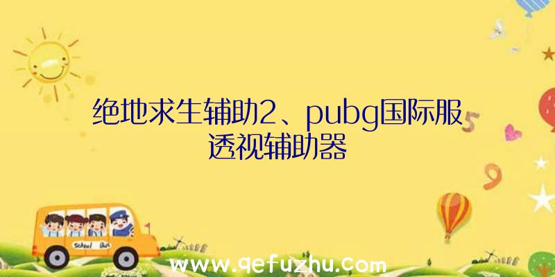 绝地求生辅助2、pubg国际服透视辅助器