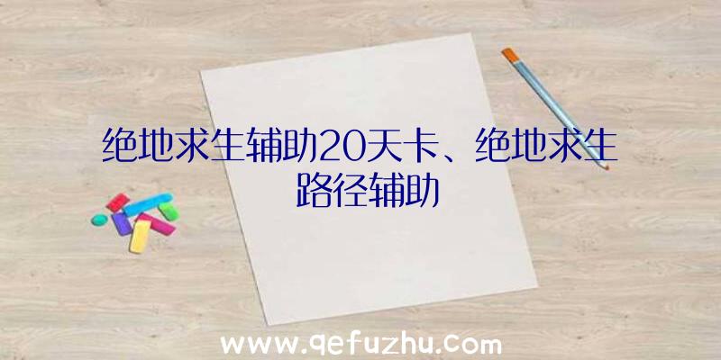 绝地求生辅助20天卡、绝地求生