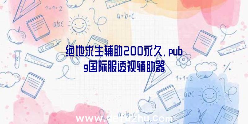 绝地求生辅助200永久、pubg国际服透视辅助器