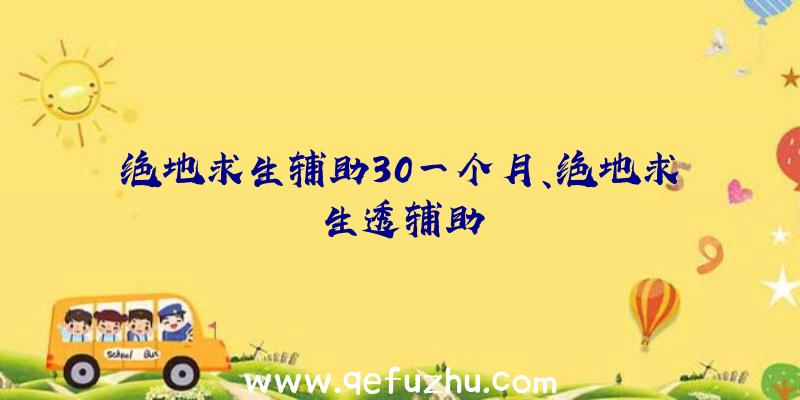 绝地求生辅助30一个月、绝地求生透辅助