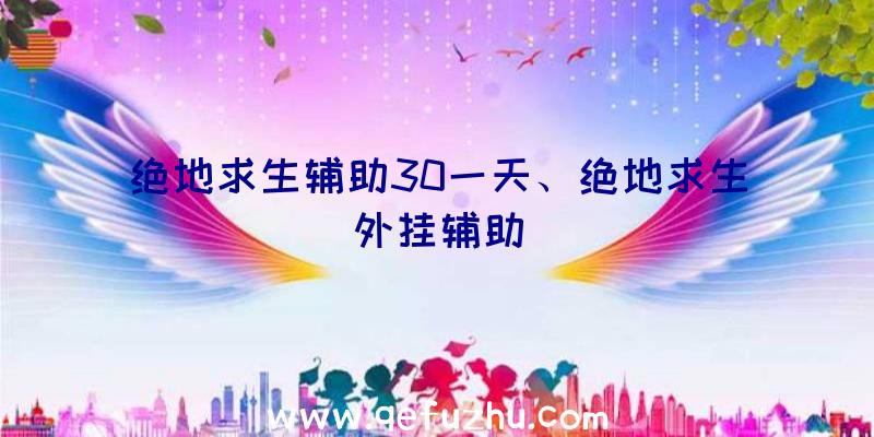 绝地求生辅助30一天、绝地求生外挂辅助