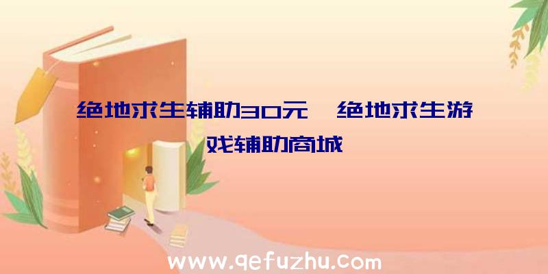 绝地求生辅助30元、绝地求生游戏辅助商城