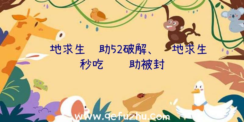 绝地求生辅助52破解、绝地求生秒吃药辅助被封