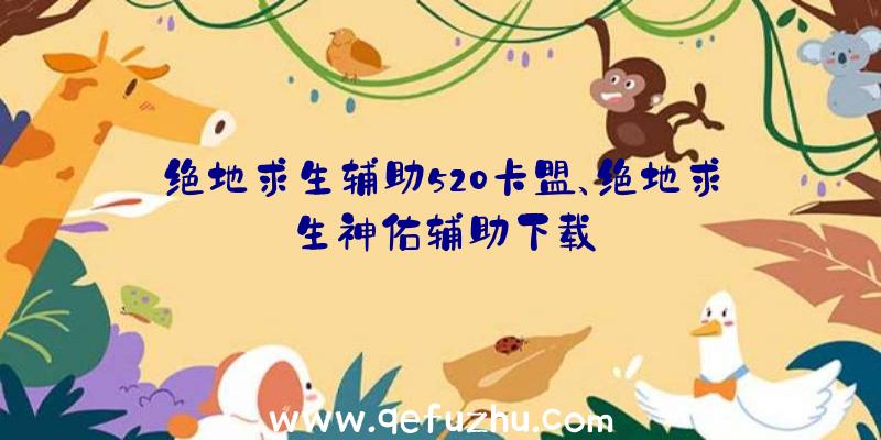 绝地求生辅助520卡盟、绝地求生神佑辅助下载