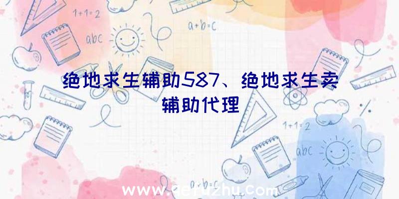 绝地求生辅助587、绝地求生卖辅助代理