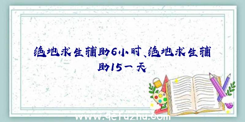 绝地求生辅助6小时、绝地求生辅助15一天