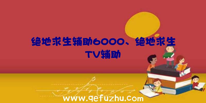 绝地求生辅助6000、绝地求生TV辅助