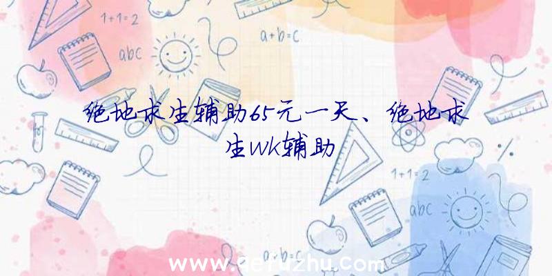 绝地求生辅助65元一天、绝地求生wk辅助