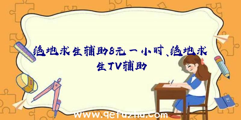 绝地求生辅助8元一小时、绝地求生TV辅助