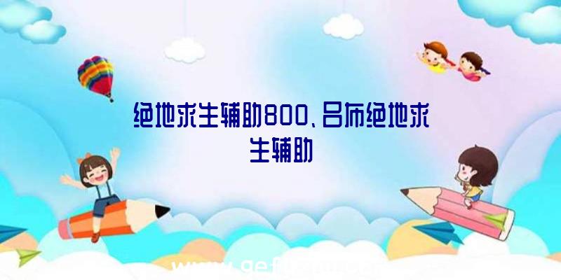 绝地求生辅助800、吕布绝地求生辅助