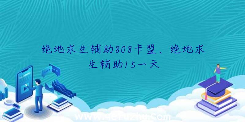 绝地求生辅助808卡盟、绝地求生辅助15一天