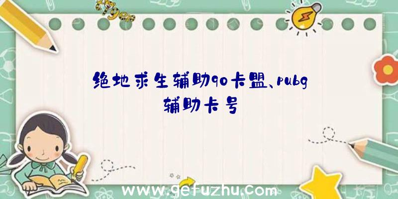 绝地求生辅助90卡盟、pubg辅助卡号