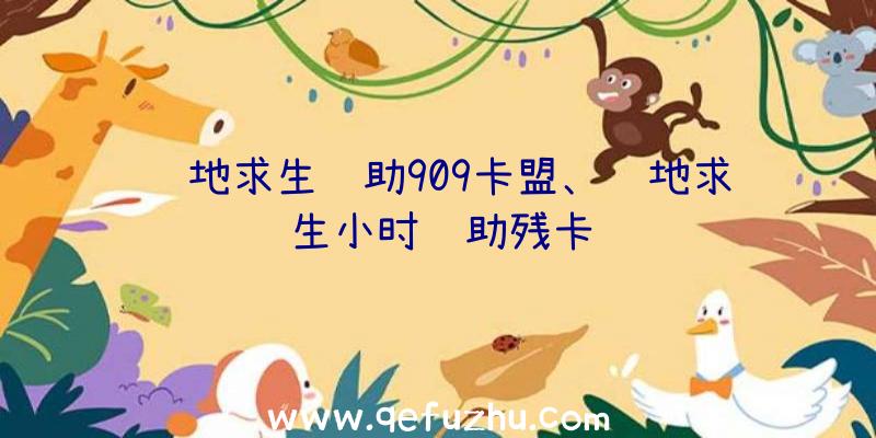 绝地求生辅助909卡盟、绝地求生小时辅助残卡