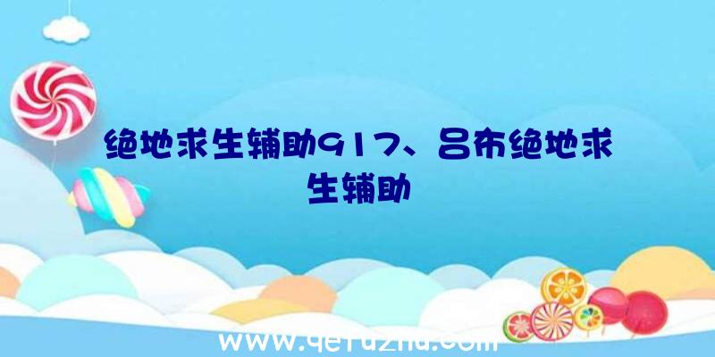 绝地求生辅助917、吕布绝地求生辅助