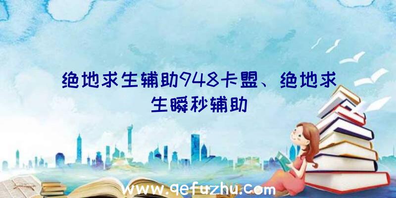 绝地求生辅助948卡盟、绝地求生瞬秒辅助