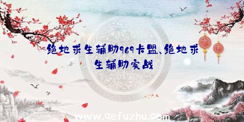 绝地求生辅助969卡盟、绝地求生辅助实战