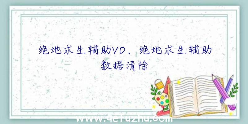 绝地求生辅助VO、绝地求生辅助数据清除