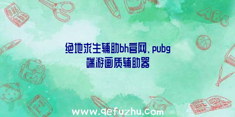 绝地求生辅助bh官网、pubg端游画质辅助器