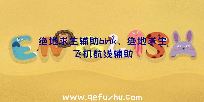 绝地求生辅助bink、绝地求生飞机航线辅助